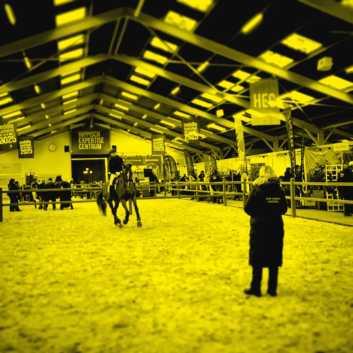 A rider in the arena with a saddle fitter watching the demo