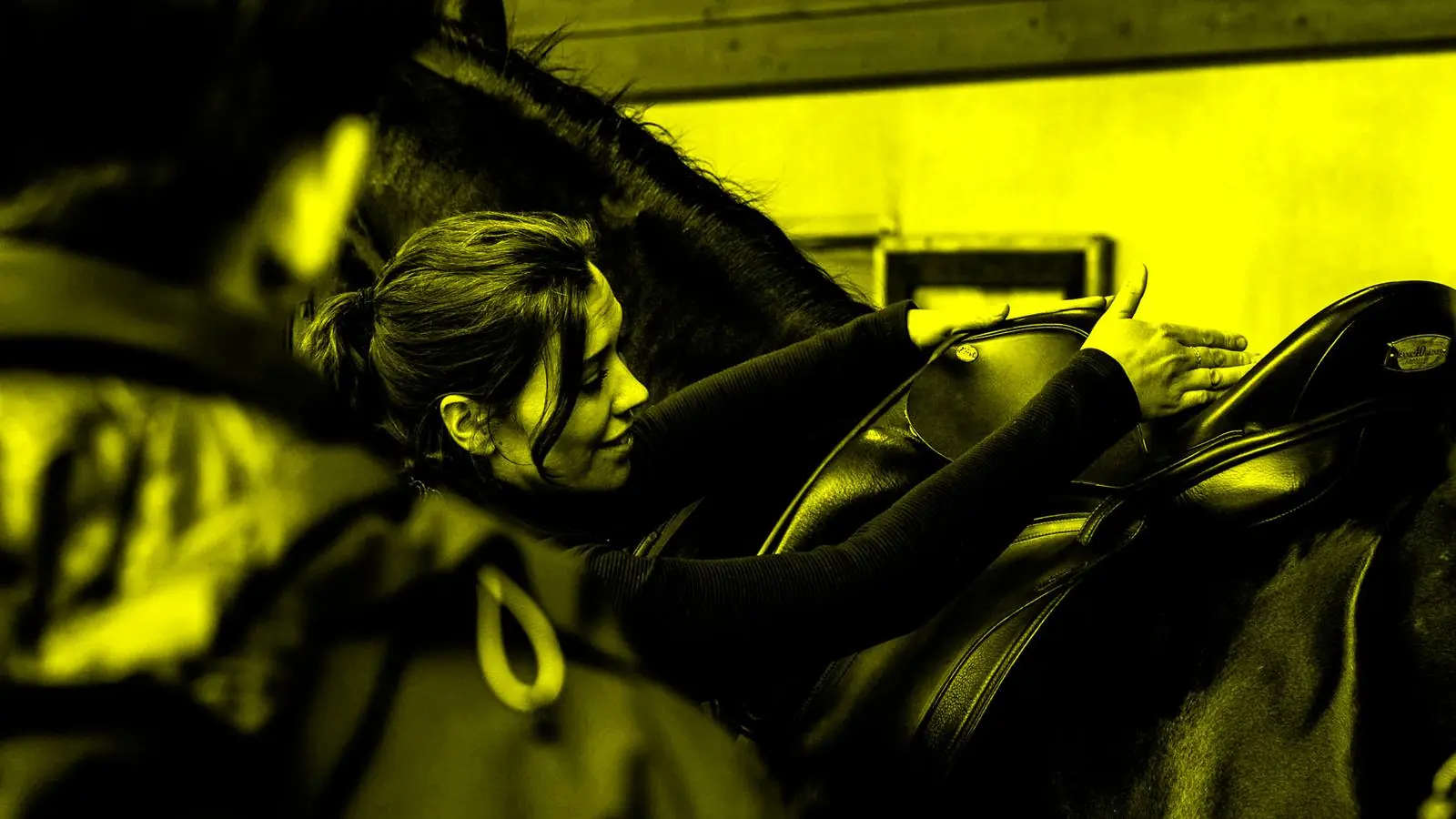 A saddle fitter checking the fit of a saddle on a horse