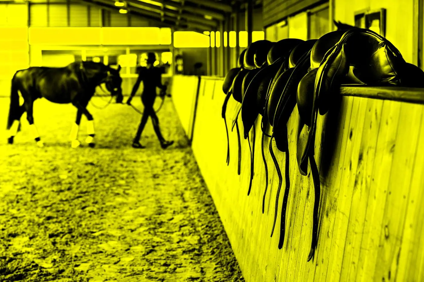 Saddles lined up on the arena rail with a horse being ridden behind them